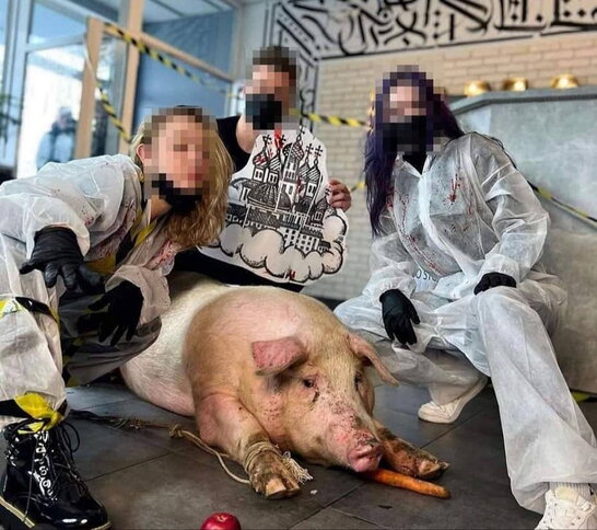 "Татуйовану" свиню захистить закон: у гучну справу втрутилася поліція