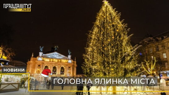 Головна зимова красуня: у Львові встановили центральну ялинку міста (відео)