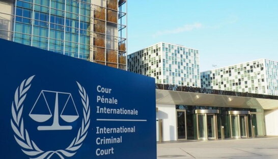 Уже 42 країни звернулися до суду в Гаазі у зв'язку зі злочинами РФ в Україні – Малюська