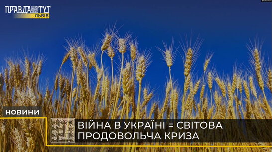 Війна в Україні може стати причиною глобальної світової продовольчої кризи (відео)