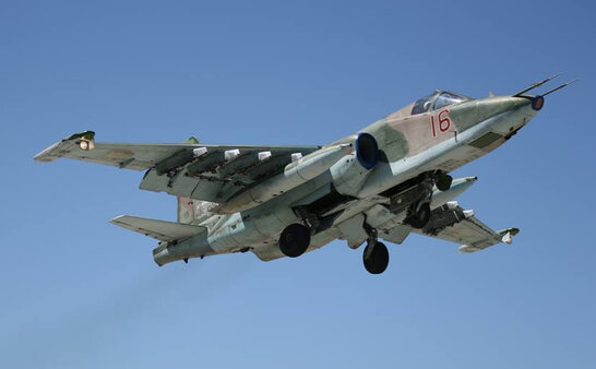 За допомогою "Stinger": ЗСУ знищили російський винищувач у Луганській області (фото)