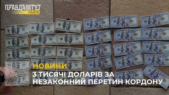 3 тисячі доларів за незаконний перетин кордону: чоловіку загрожує до 9 років тюрми (відео)