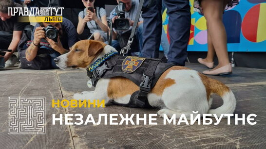 У Львові організували свято для дітей, на яке завітав "талісман рятувальників" пес Патрон (відео)