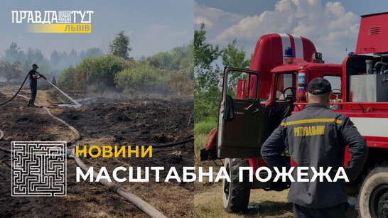 Масштабна пожежа на Львівщині: у селі Кожичі горить торфовище (відео)