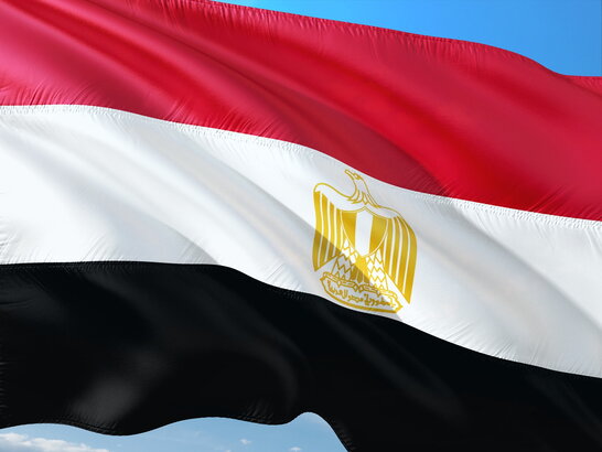 "Типовий російський фейк": Єгипет не розривав зернові контракти з Україною
