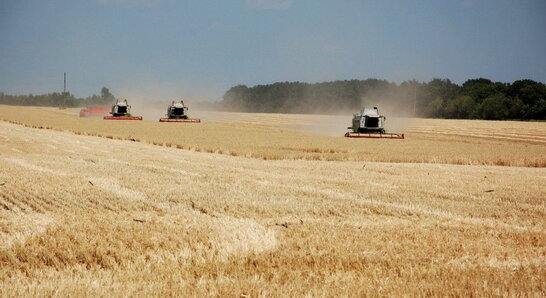 В Україні зібрали перший мільйон тонн зерна нового урожаю – Мінагро