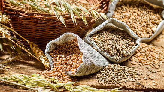У Туреччині анонсували нові переговори щодо «зернового коридору»