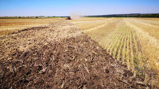 Україна вже зібрала 6,5 млн тонн врожаю зернових