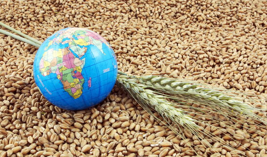 Стало відомо, коли розпочнеться експорт зерна з українських портів