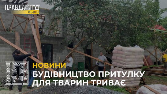 Поблизу Львова триває будівництво притулку для тварин, які залишилися без господарів (відео)