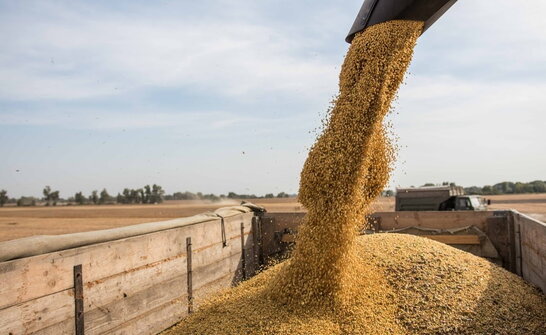 З 24 лютого Ірландія отримала перший вантаж українського зерна