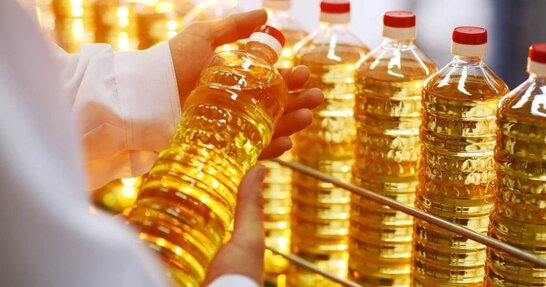 Україна та Польща побудують трубопровід для експорту української олії