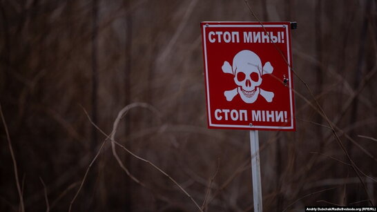 Найближчий рік у ліс на Київщині ходити не можна буде - ДСНС