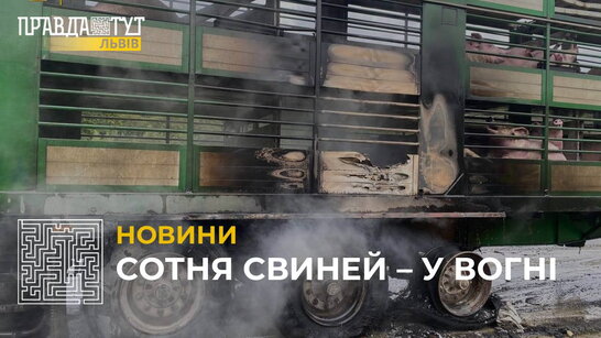 У Золочівському районі загорілася вантажівка з понад сотнею свиней