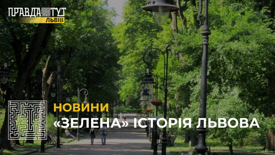 «Зелена» історія Львова: на обліку міста перебувають сотні вікових дерев у різних локаціях (відео)