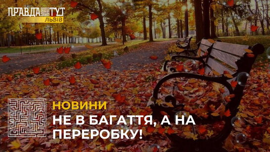 Львів’яни здали на міську станцію компостування понад 1000 тонн опалого листя