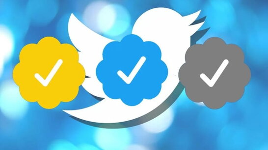 Twitter запускає кольорові галочки верифікації акаунтів: для кого