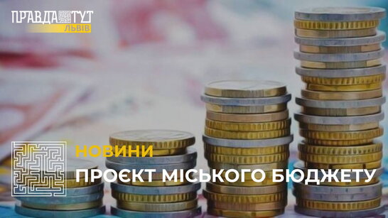 Виконком затвердив бюджет Львівської МТГ на 2023 рік