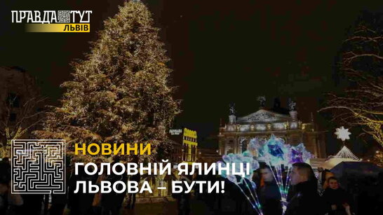 У Львові таки встановлять головну новорічну ялинку: якою вона буде? (відео)