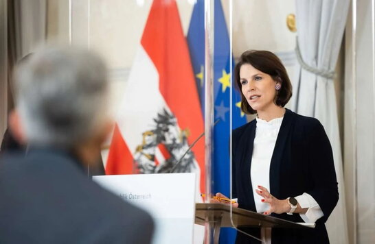 В уряді Австрії підтримують вступ України в ЄС після реформ