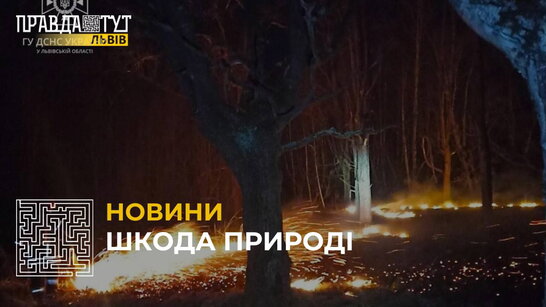 Шкода природі: впродовж доби рятувальники понад 30 разів гасили горіння сухостою та чагарнику (відео)