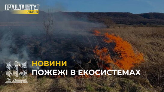 В Україні з початку цього року зафіксували 1700 пожеж на площі 2600 га