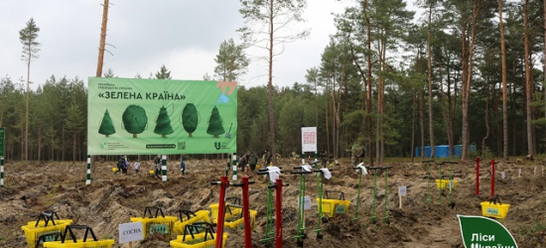 «Зелена країна» на Львівщині: в рамках ініціативи висадили майже 1,4 млн дерев