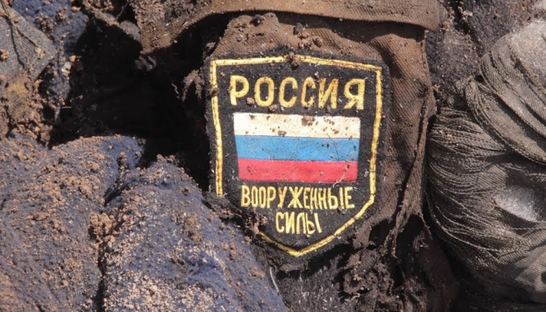 росіяни на Запоріжжі підчепили сибірську виразку – розрили скотомогильник