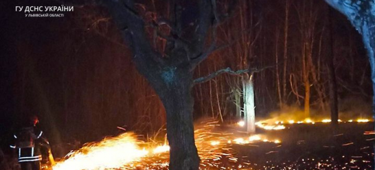 На Львівщині вогнеборці ліквідовували 6 пожеж сухостою