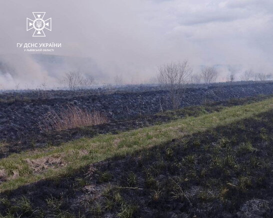 На Львівщині вогонь знищив 2000 кв.м сухостою