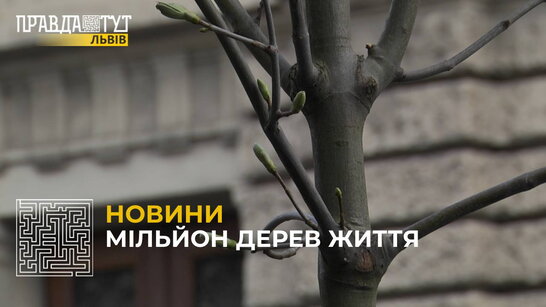 У центрі Львова представники ГО «Добро.Дій» разом з партнерами висадили іменні дерева