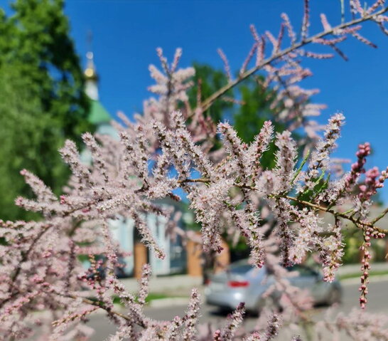 В Україні завтра до 27° тепла