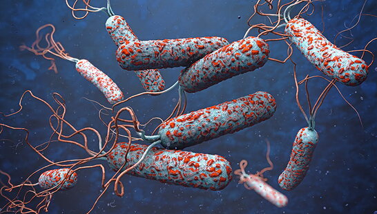 Як уберегтися від холери: роз'яснення МОЗ