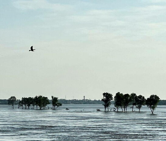 Вода у Каховському водосховищі впала уже на 7 метрів