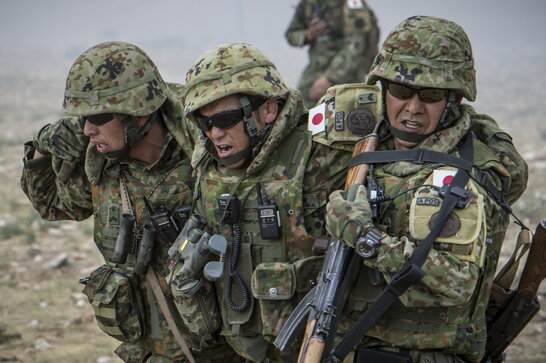 В Японії курсант застрелив двох військових