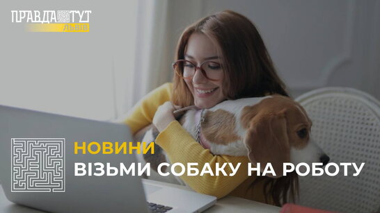 23 червня можна долучитися до Всесвітньої акції й взяти на роботу свого домашнього улюбленця