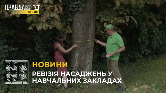Садівники Львова вперше цього року взялися за обстеження зелених насаджень у навчальних закладами