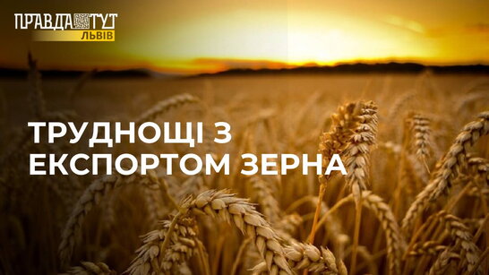 Труднощі з ЕКСПОРТОМ зерна: чим замінять пшеницю?