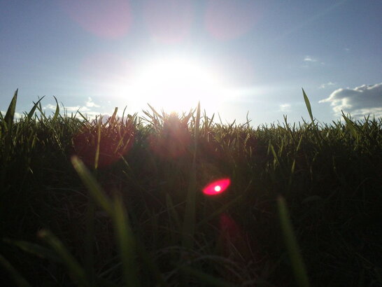 В Україні прогнозують вдень до 30°