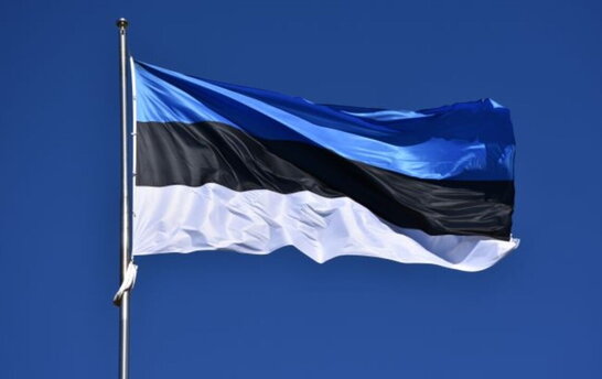 Естонія оголосила про передачу нового озброєння для України
