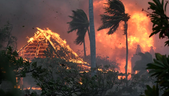 На Гаваях через лісову пожежу загинуло вже понад  106 людей