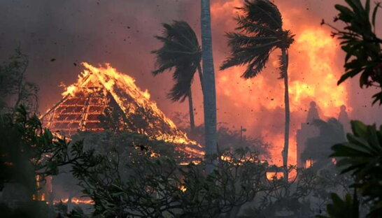 Через лісову пожежу на Гаваях вже 114 жертв