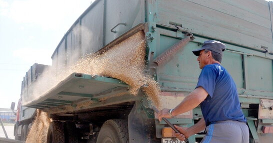 На ТОТ росія вкрала понад 3,5 млн тонн українського зерна