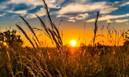 В останній день літа Україні прогнозують спеку