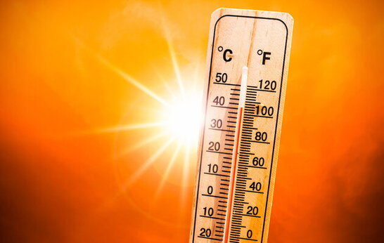 У Києві за літо зафіксували 13 температурних рекордів