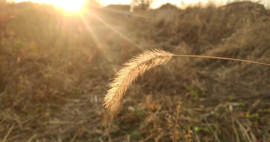 В Україні прогнозують на вихідні до +26°