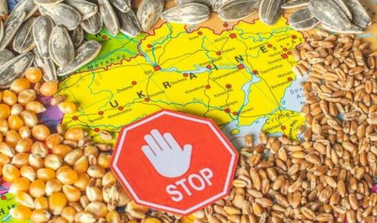 Три європейських країни заборонили імпорт українського зерна