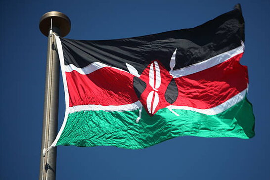У Кенії впав військовий вертоліт: екіпаж загинув