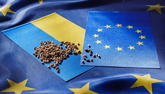 Україна назвала умову відкликання позовів до СОТ щодо заборони експорту збіжжя
