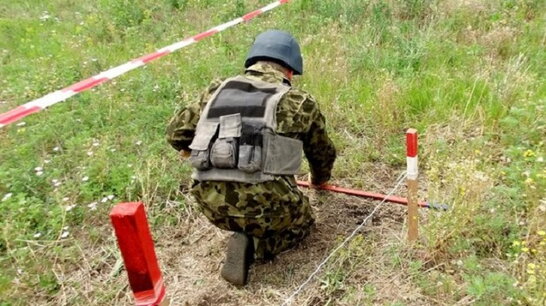 В Україні розмінували майже 10 тисяч га сільгоспугідь